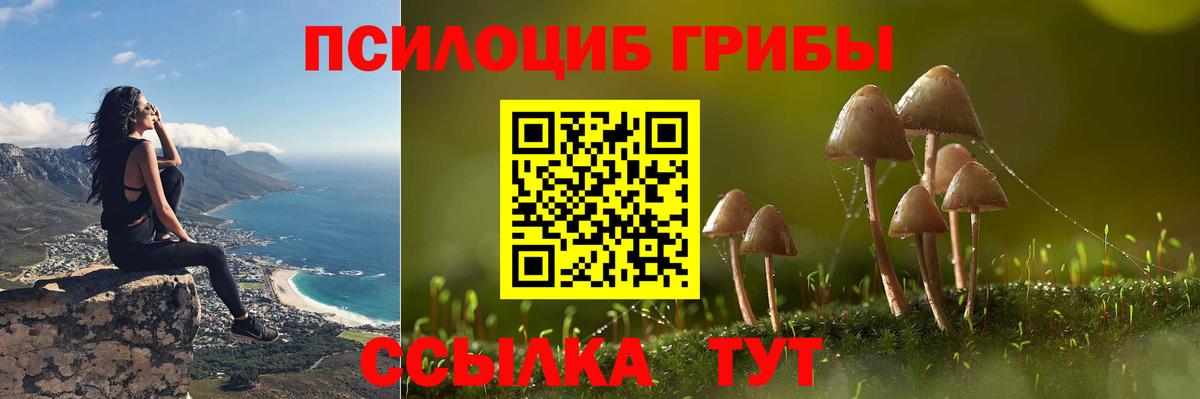 Псилоцибиновые грибы Cubensis  Псилоцибиновые грибы ЛСД  Тайшет  Вход с VPN 